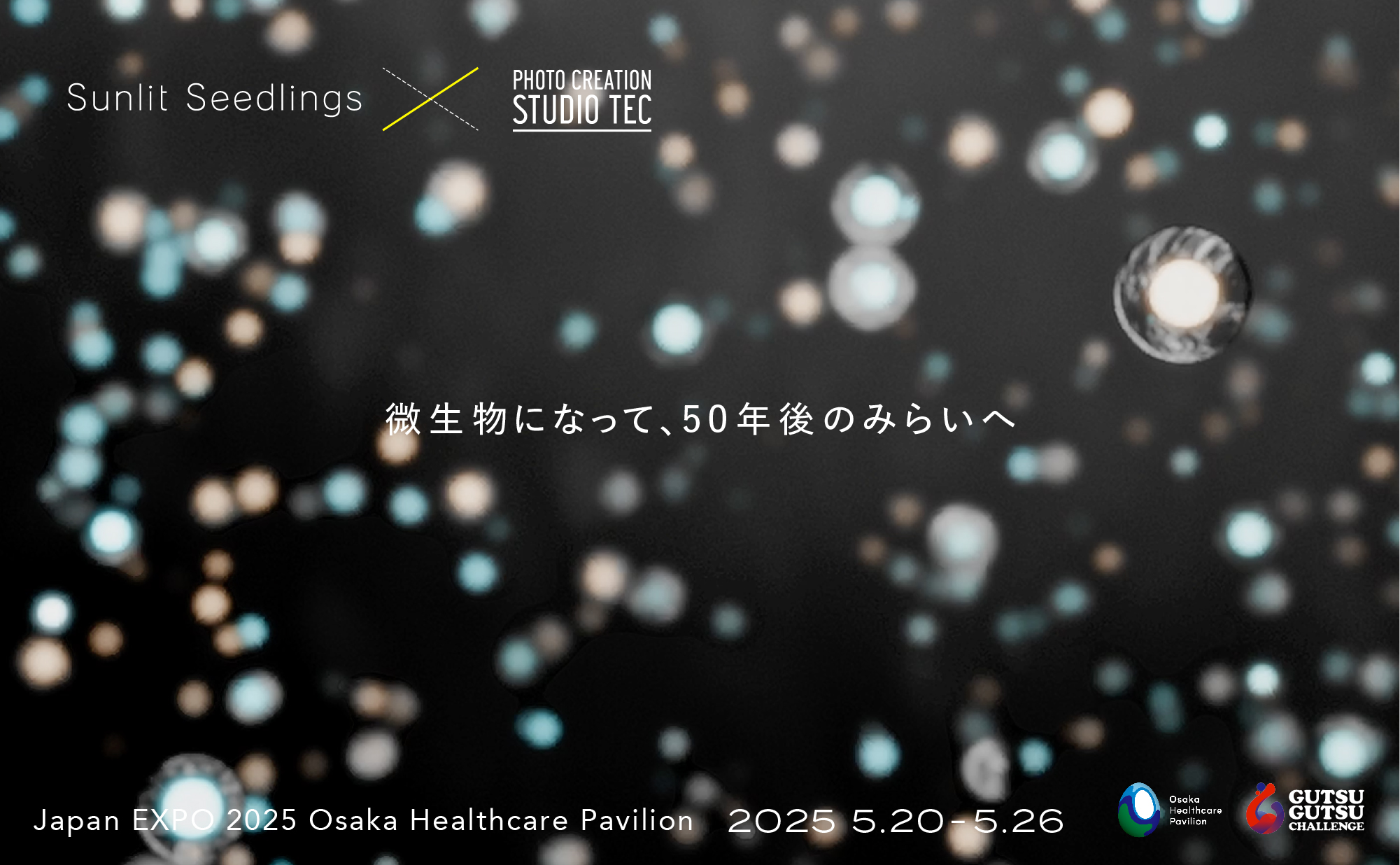 5/20より万博出展　特設サイト公開