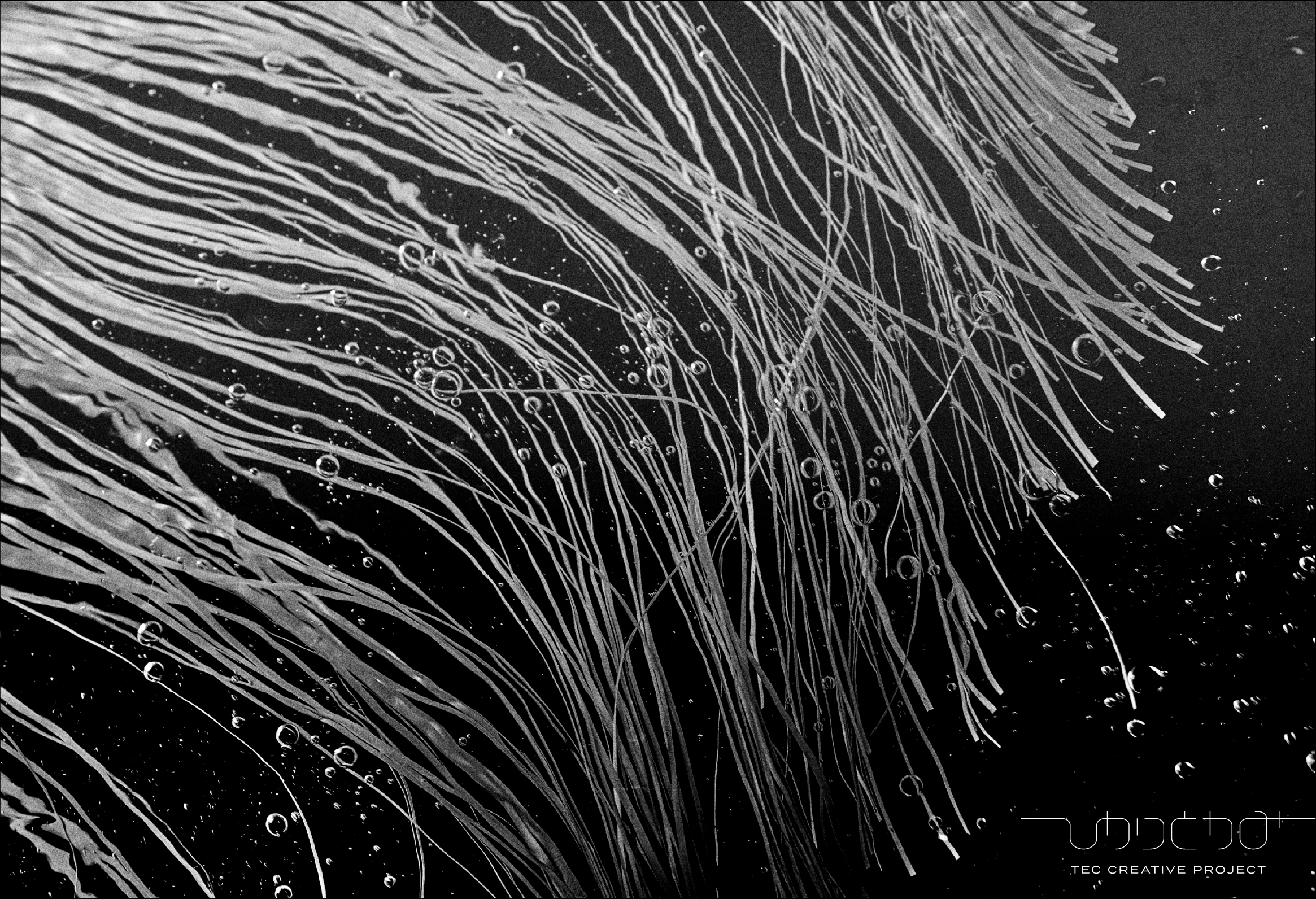 新年のごあいさつ