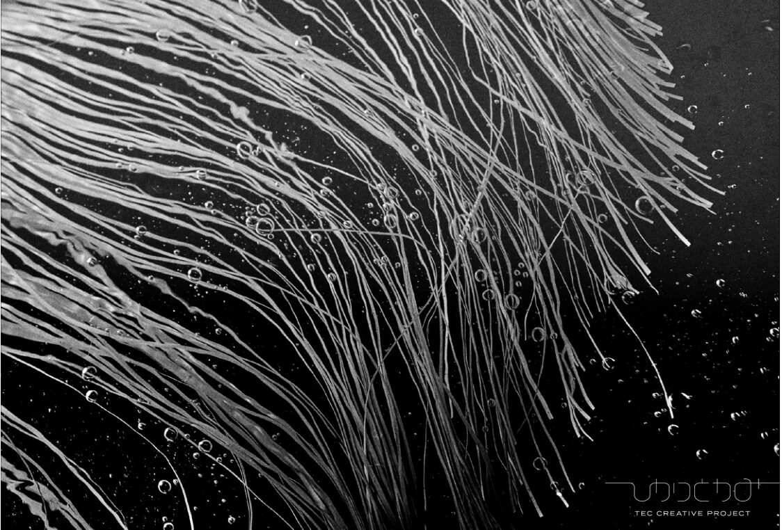 新年のごあいさつ